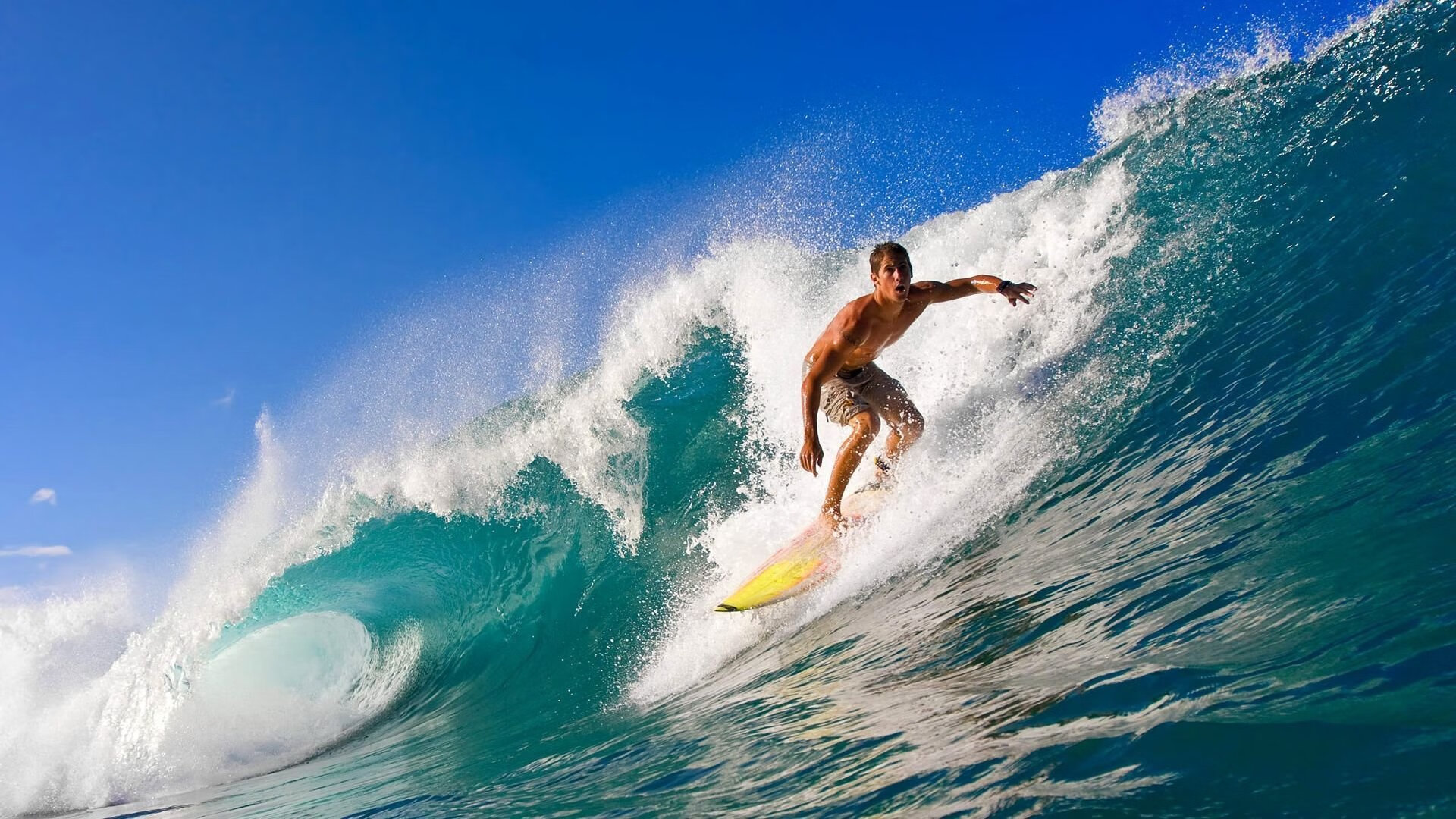 神秘黑马逆袭,力压豪强一举逆转胜局!,神奇的黑马