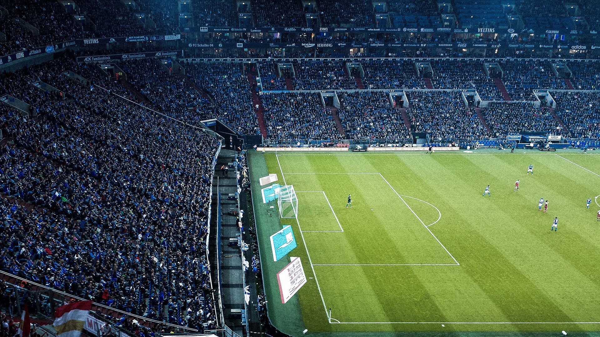 开云体育网址-葡萄牙体育主场力克本菲卡，葡萄牙体育主场力克本菲卡是谁