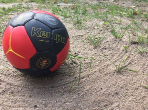 kaiyun登录入口-世界青年手球锦标赛中国队勇夺三连胜，世界手球锦标赛几年一次