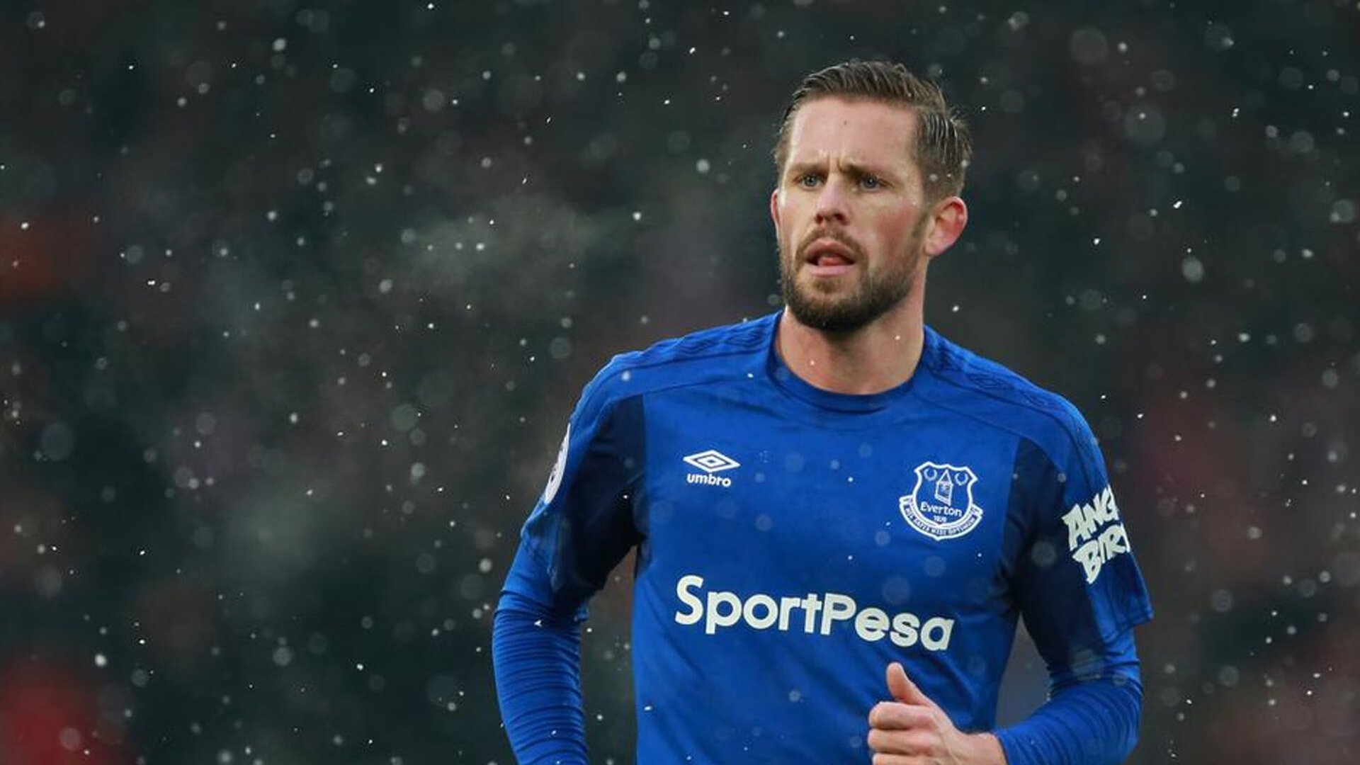 大型星空下的夜跑节,照亮心中的运动梦想,大型夜跑活动